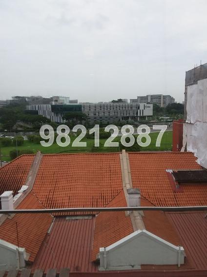 Opal Suites (D12), Apartment #165553992